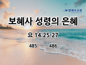 보혜사 성령의 은혜 (요 14:25-27)