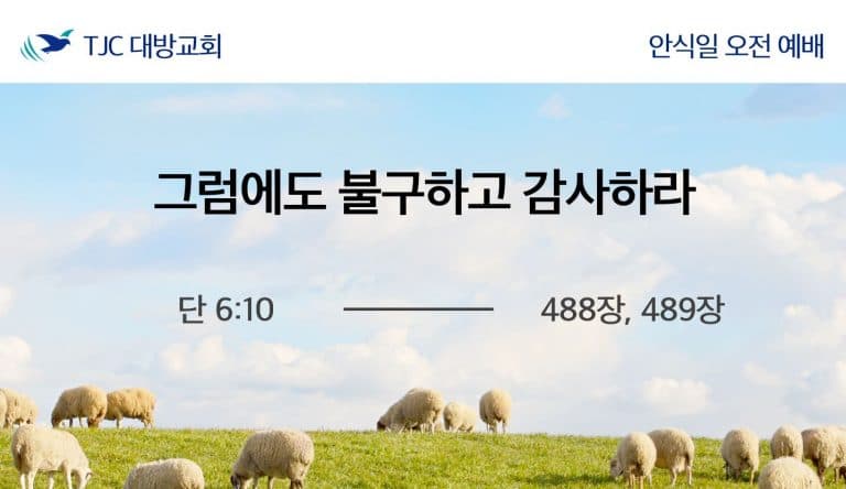 그럼에도 불구하고 감사하라 (단 6:10)