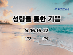 성령을 통한 기쁨(요 16:16-22)