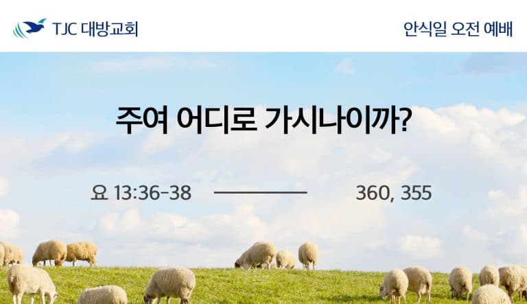 주여 어디로 가시나이까? (요 13:36-38)
