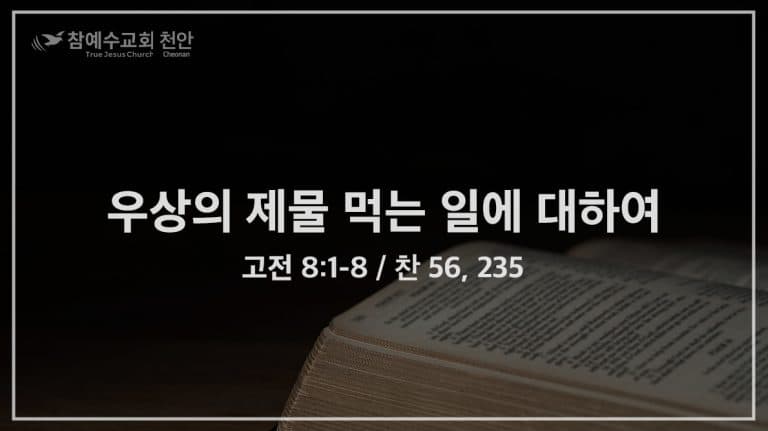 우상의 제물 먹는 일에 대하여 (고전 8:1-8)