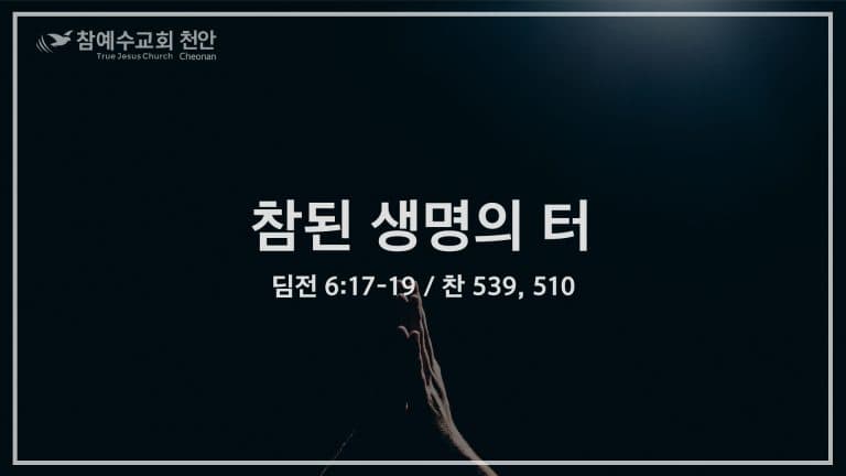 참된 생명의 터 (딤전 6:17-19)