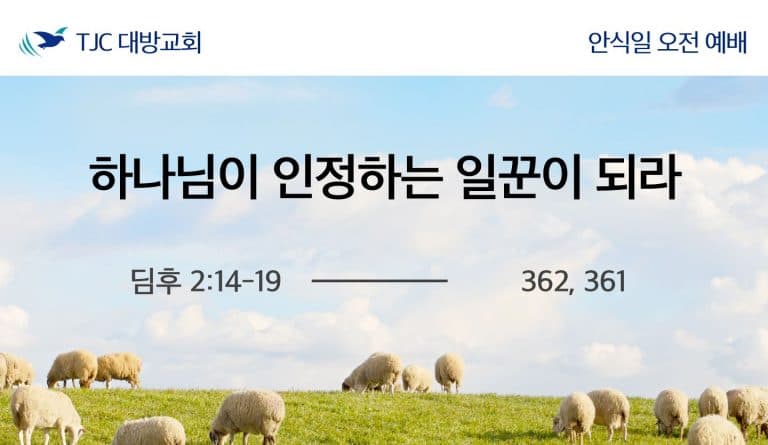 하나님이 인정하는 일꾼이 되라 (딤후 2:14-19)