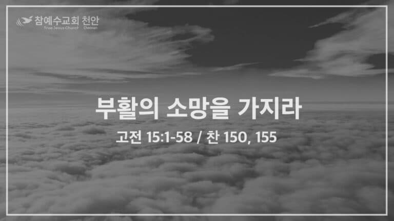 부활의 소망을 가지라 (고전 15:1-58)
