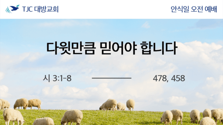 다윗만큼 믿어야 합니다 (시3:1-8)