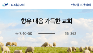 향유 내음 가득한 교회(눅 7:40-50)