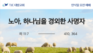 노아, 하나님을 경외한 사명자 (히11:7)