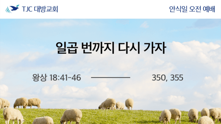 일곱 번까지 다시 가자 (왕상 18:41-46)